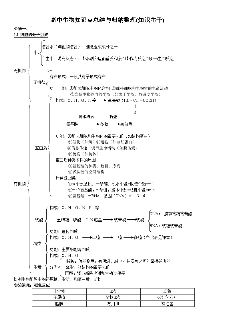 高中生物知识点第1页
