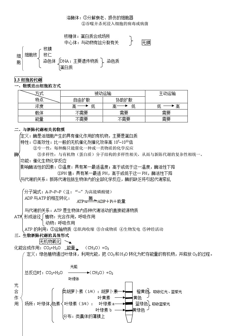 高中生物知识点第3页