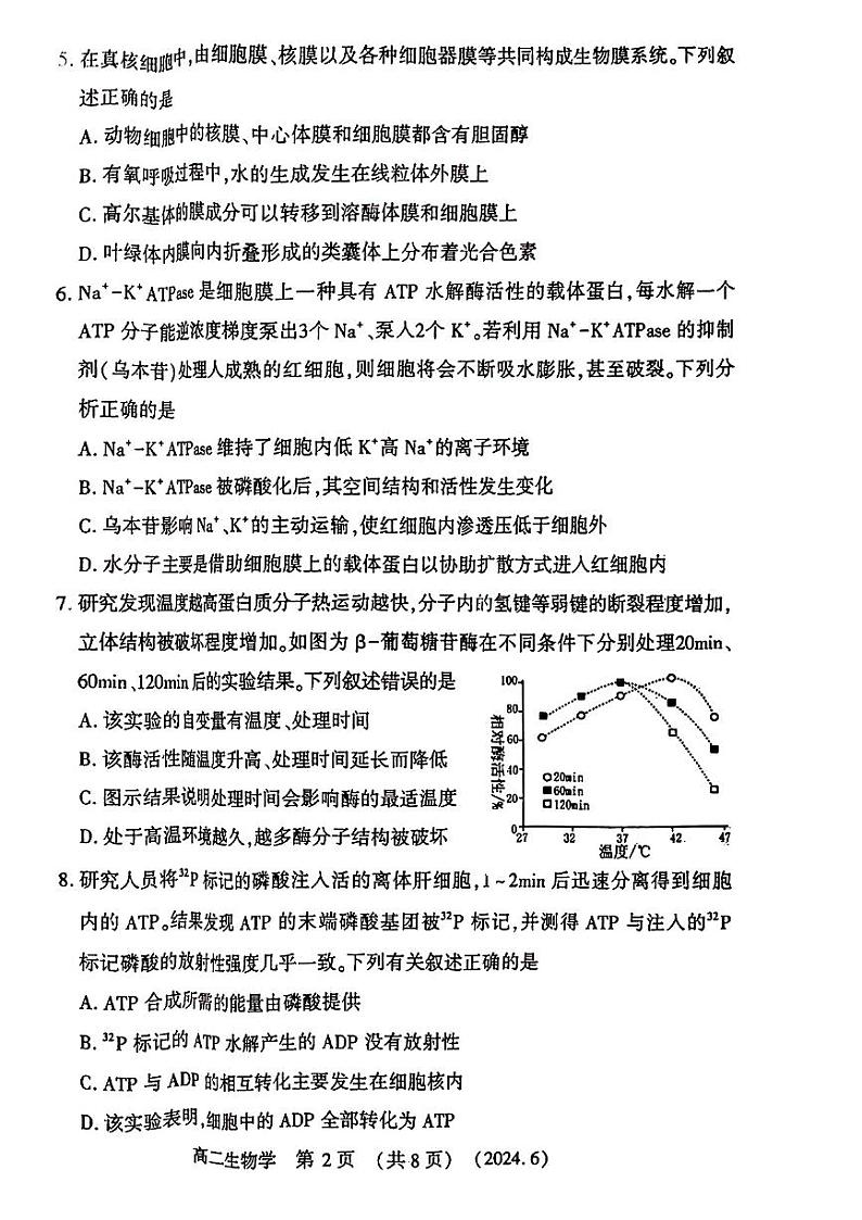 河南省洛阳市2023-2024学年高二下学期6月质量检测生物学试卷及答案02