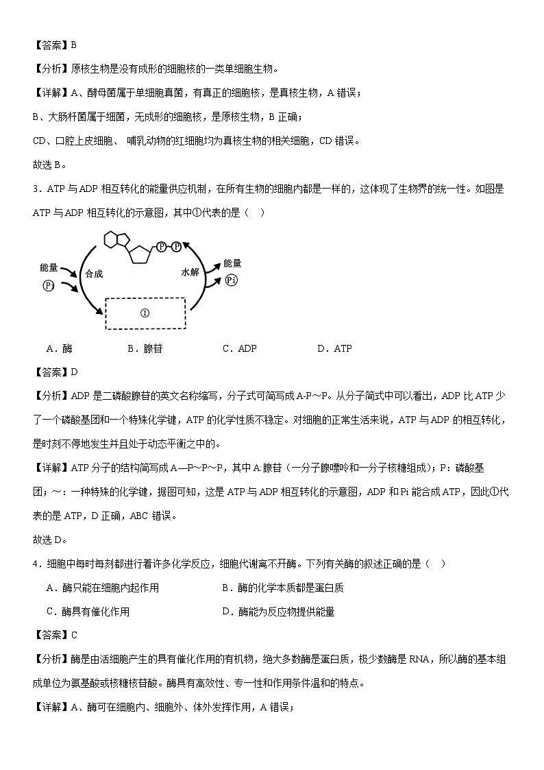[生物]浙江省普通高中学业水平考试生物学模拟卷01 （解析版）02
