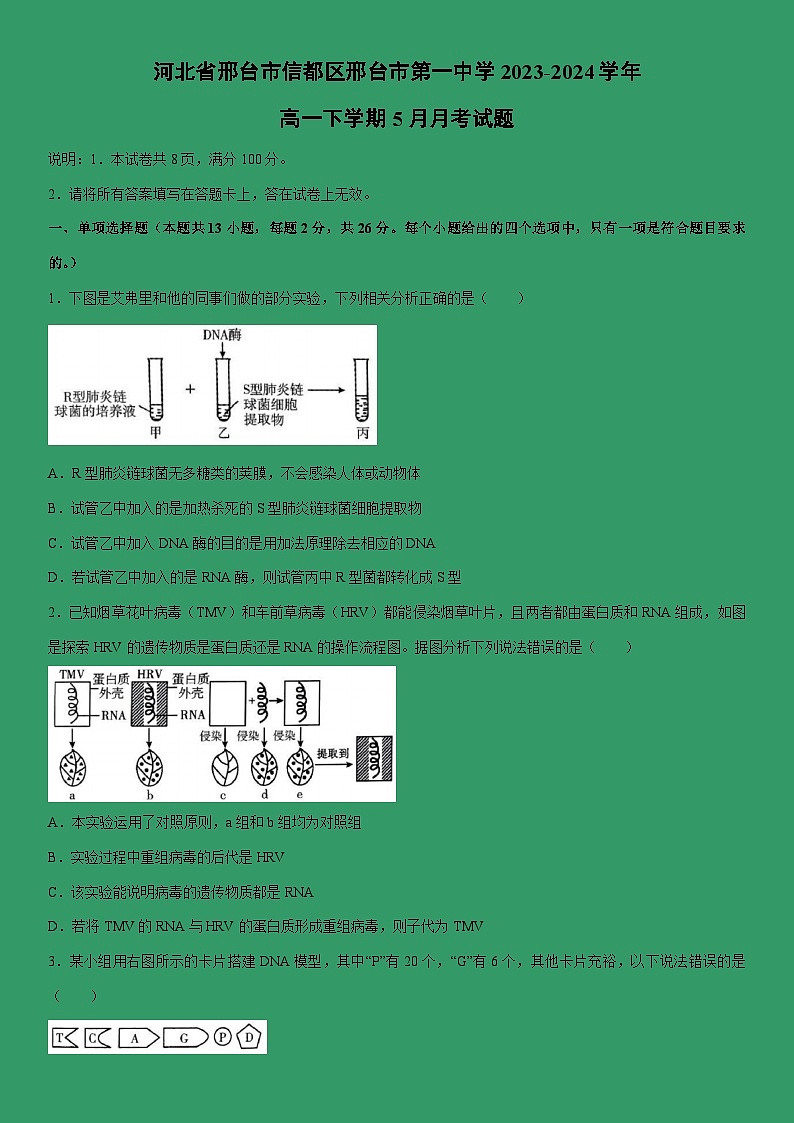 [生物]河北省邢台市信都区邢台市第一中学2023-2024学年高一下学期5月月考试题（解析版）01