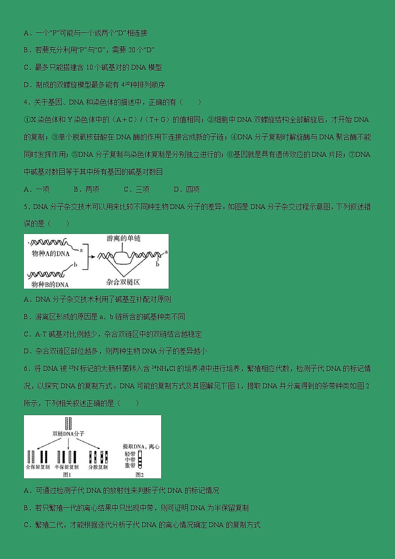 [生物]河北省邢台市信都区邢台市第一中学2023-2024学年高一下学期5月月考试题（解析版）02
