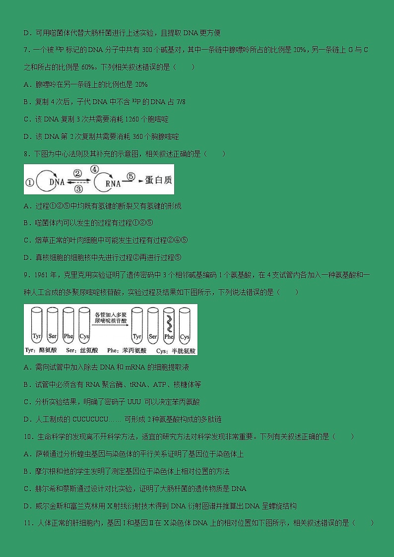 [生物]河北省邢台市信都区邢台市第一中学2023-2024学年高一下学期5月月考试题（解析版）03