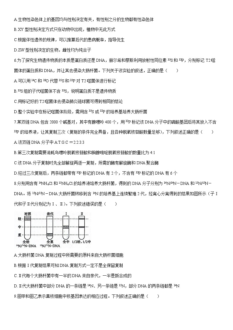 [生物]河南省濮阳市2023-2024学年高一下学期5月月考试题（解析版）02