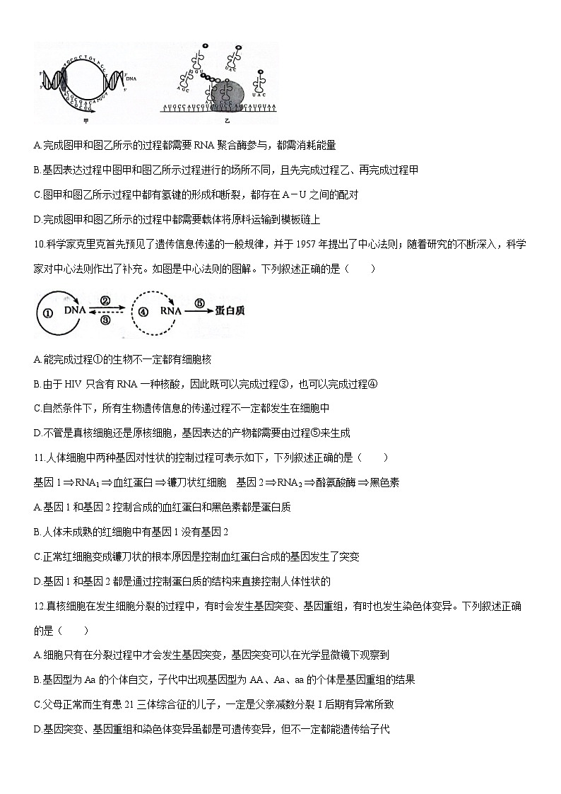 [生物]河南省濮阳市2023-2024学年高一下学期5月月考试题（解析版）03