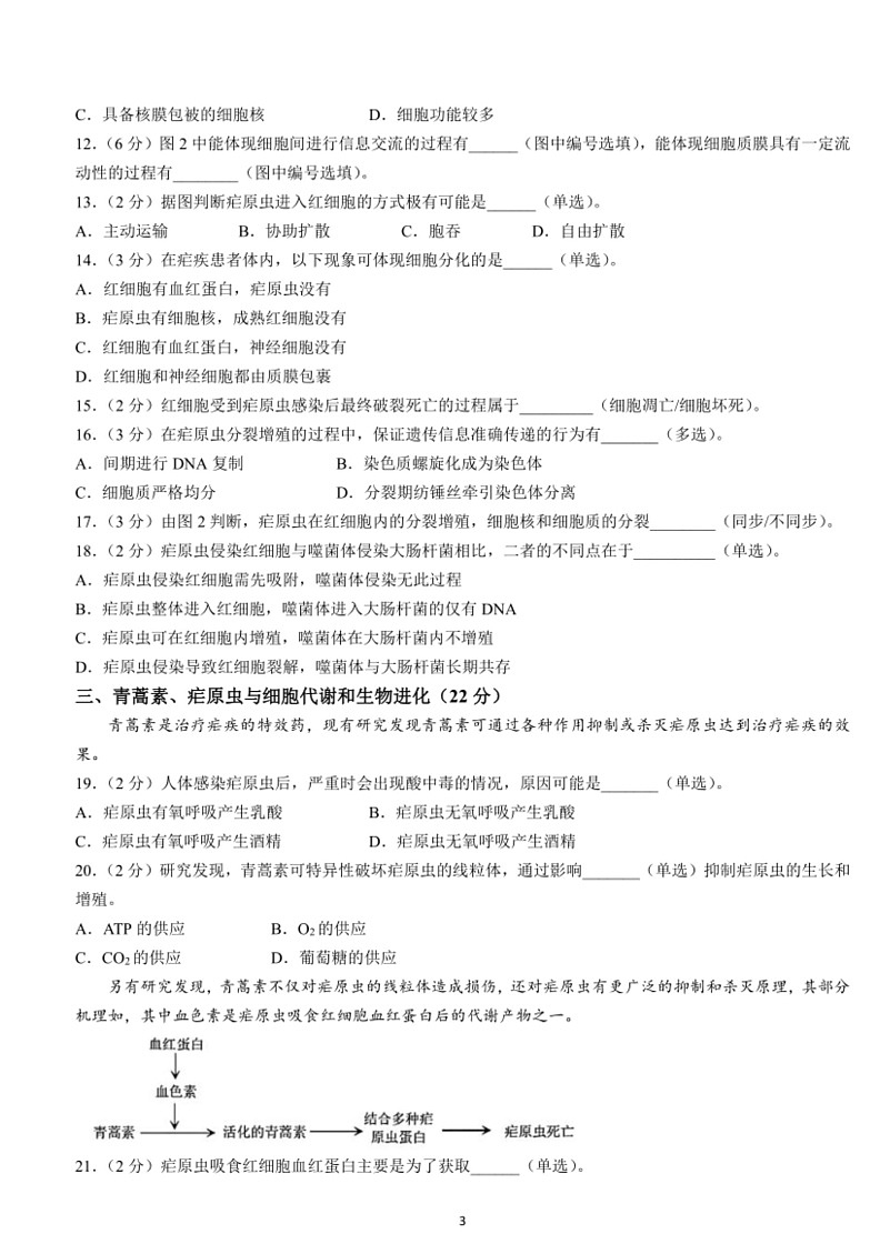 [生物]上海市宝山区2023～2024学年高二下学期期末教学质量监测生物学试卷（含答案）03
