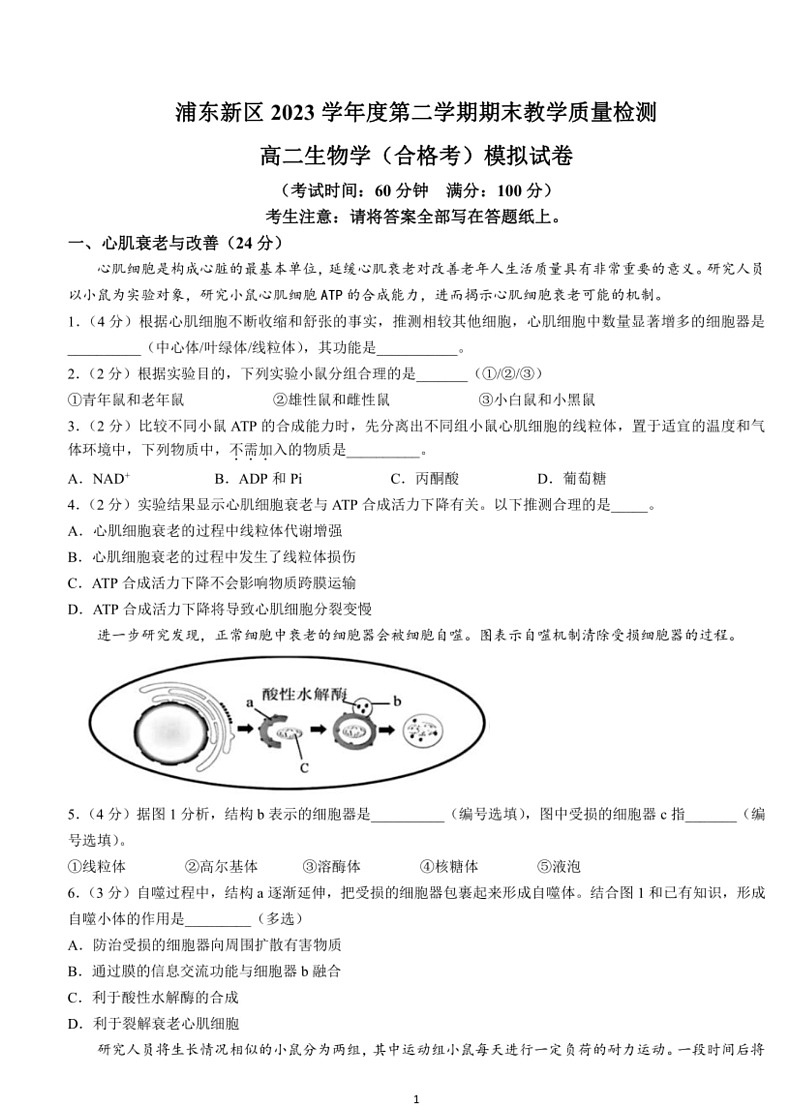 [生物]上海市浦东新区2023～2024学年度高二下学期期末教学质量检测生物学（合格考）模拟试卷（含答案）01