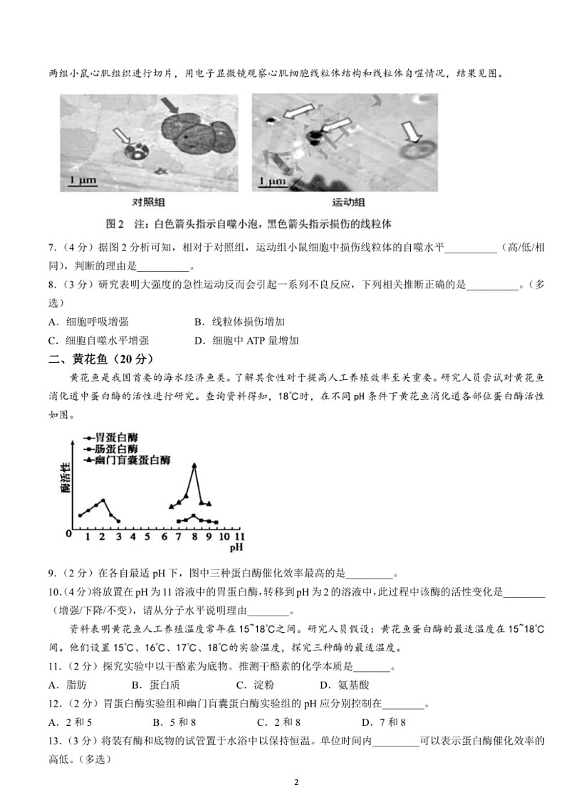 [生物]上海市浦东新区2023～2024学年度高二下学期期末教学质量检测生物学（合格考）模拟试卷（含答案）02