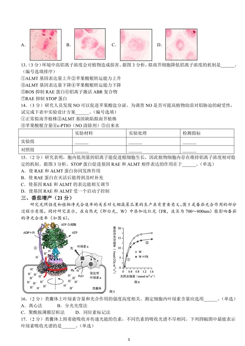 [生物]上海市杨浦区2023～2024学年高二下学期期末考试生物试卷（含答案）03