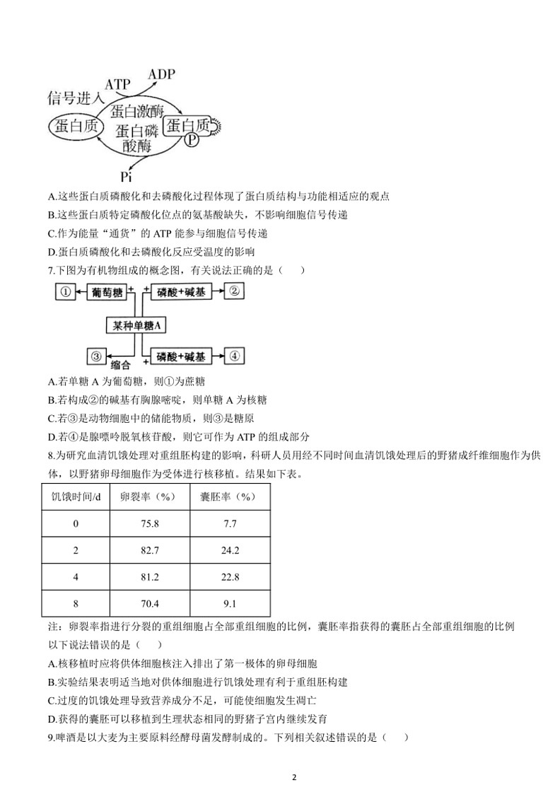 [生物]福建省泉州科技中学2023～2024学年高一下学期期中考试生物学试题（无答案）02