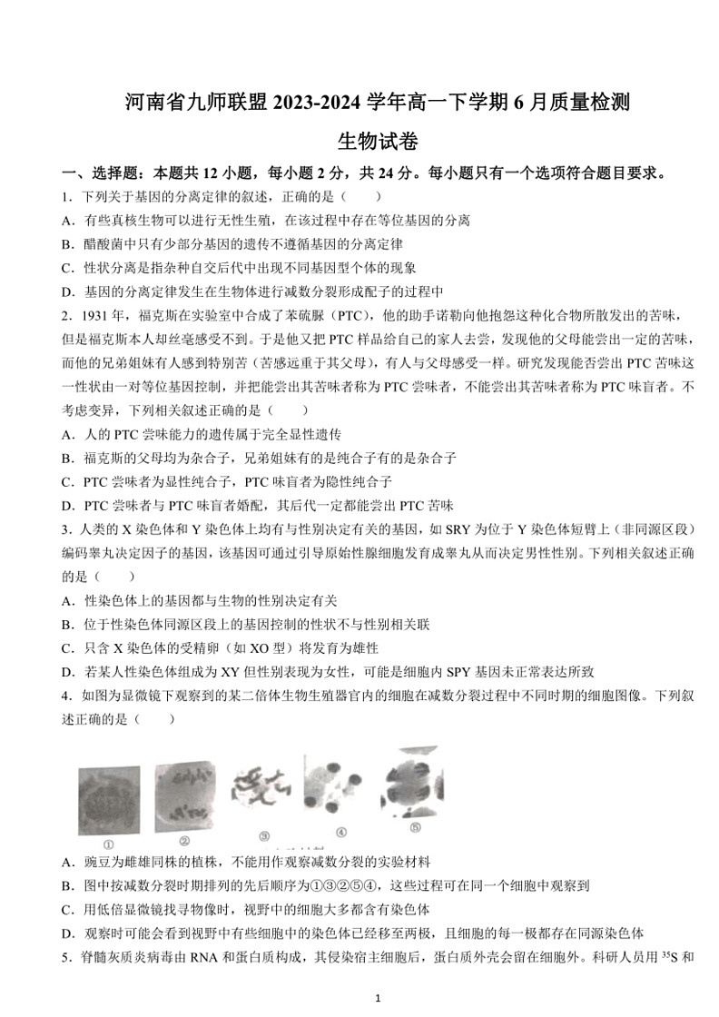 [生物]河南省九师联盟2023～2024学年高一下学期6月质量检测生物试题（含答案）第1页