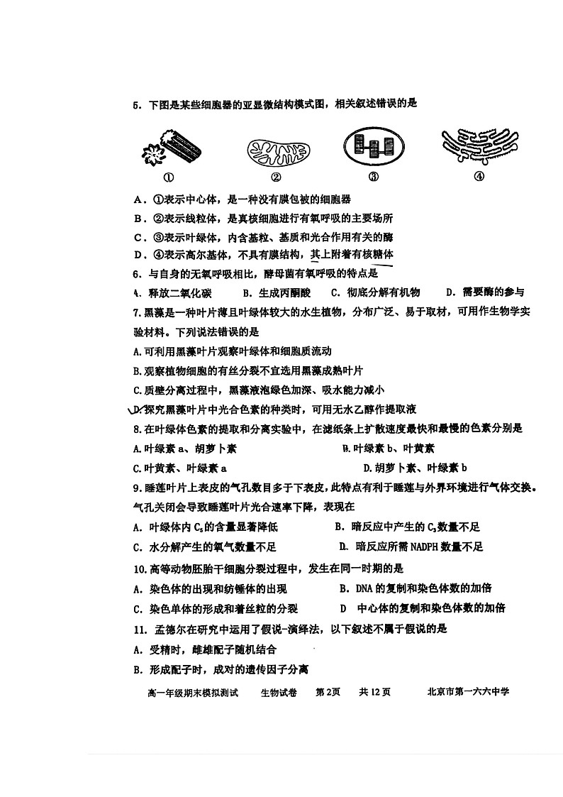 [生物]2024北京一六六中高一下学期6月月考生物试卷及答案第2页