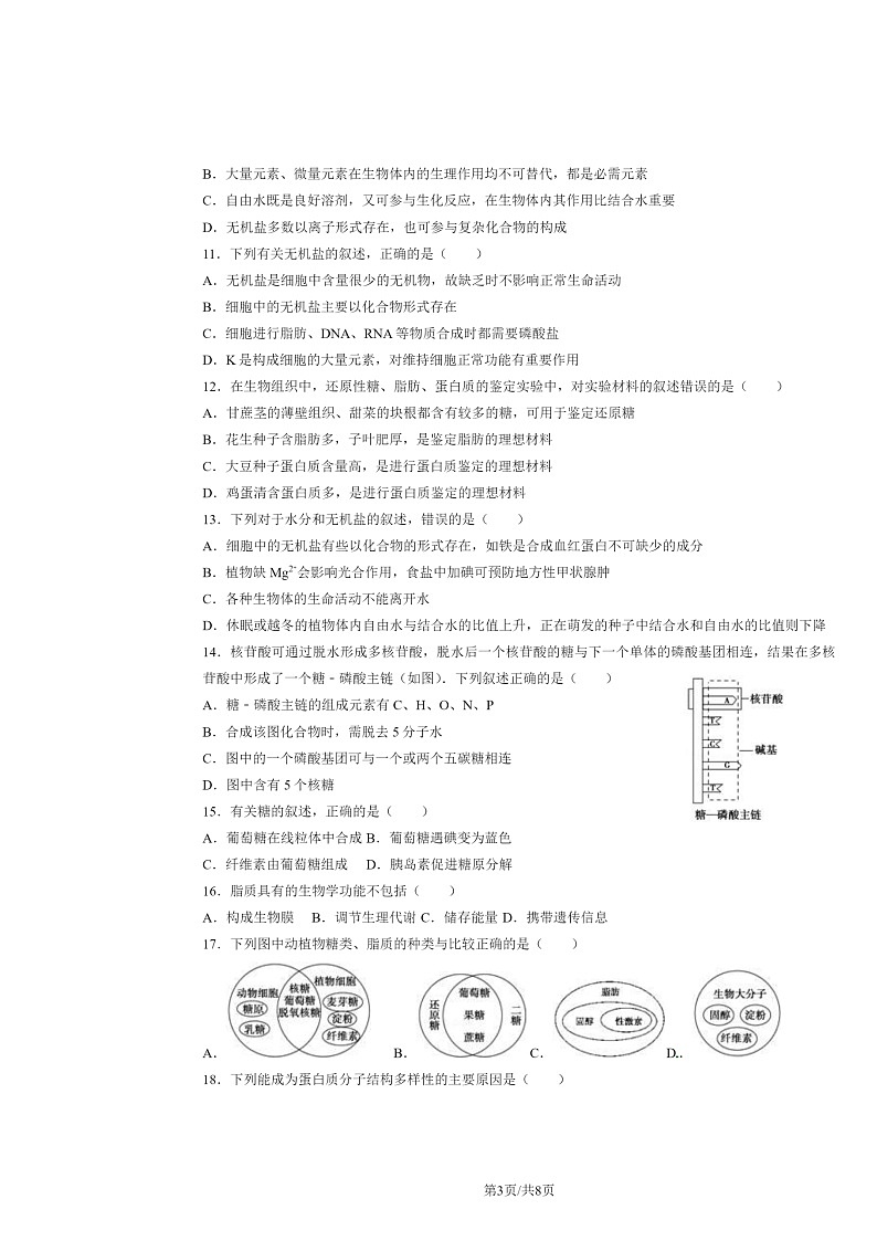 [生物]2024北京十四中高一下学期期中生物试卷及答案03