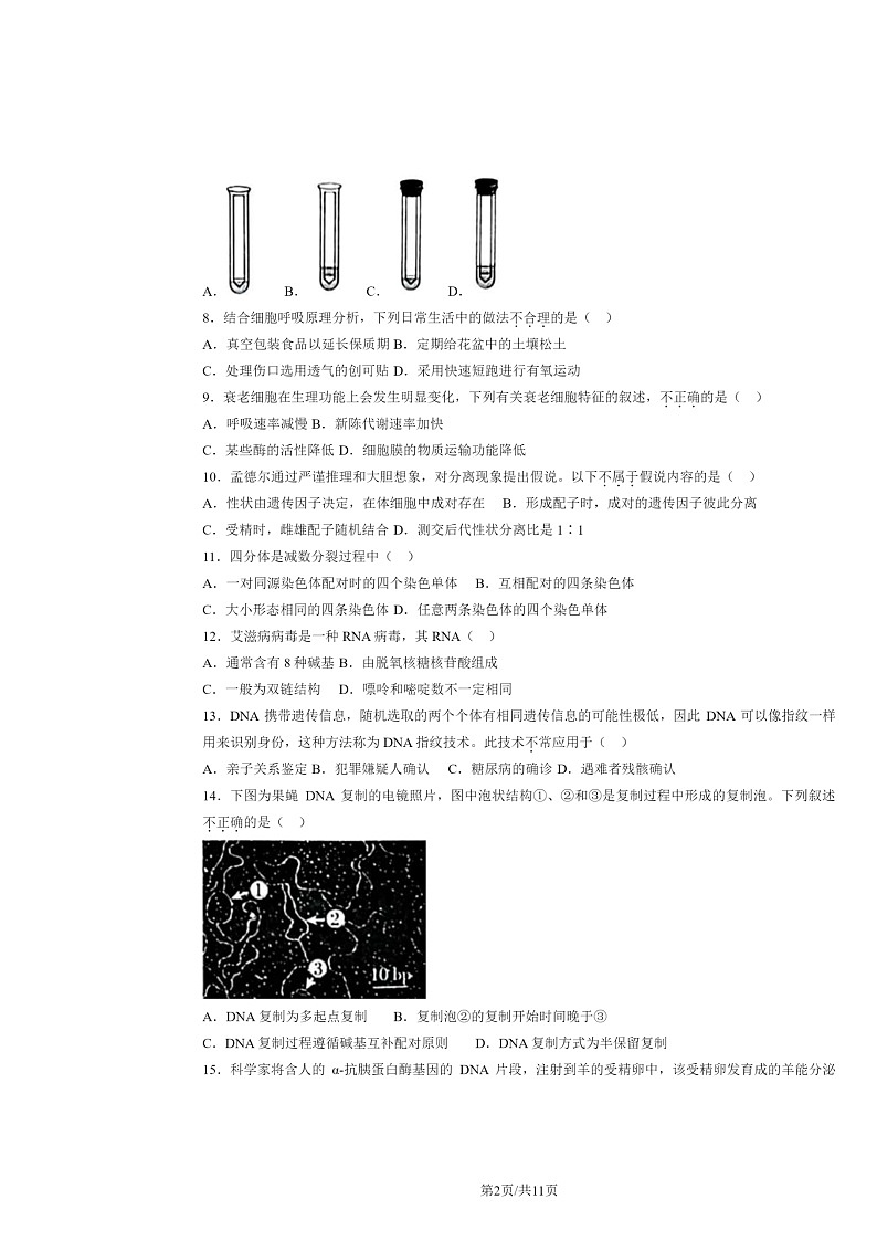 [生物]2024北京理工大附中高一下学期6月月考生物试卷及答案第2页