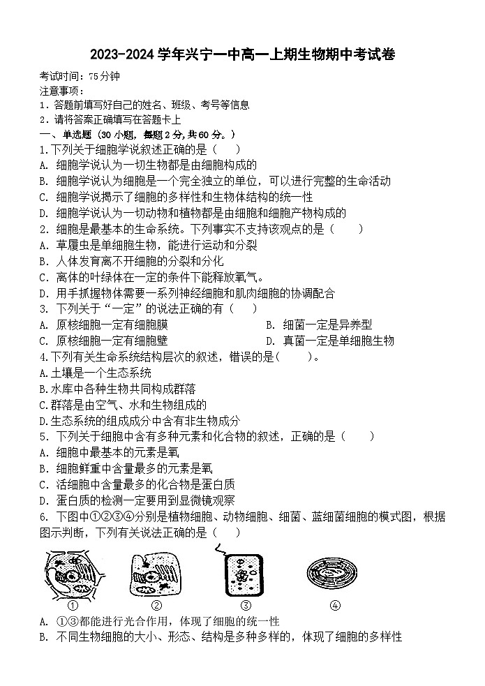 广东省梅州市兴宁一中2023-2024学年高一上学期期中考试生物试卷01