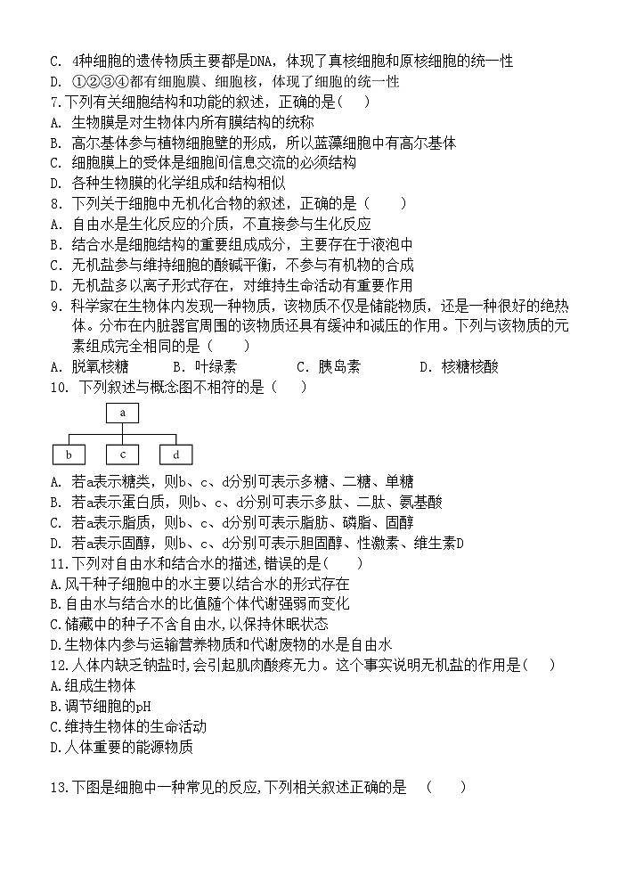 广东省梅州市兴宁一中2023-2024学年高一上学期期中考试生物试卷02