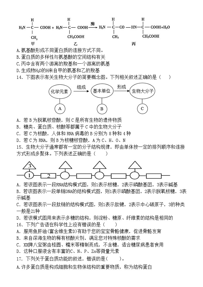 广东省梅州市兴宁一中2023-2024学年高一上学期期中考试生物试卷03