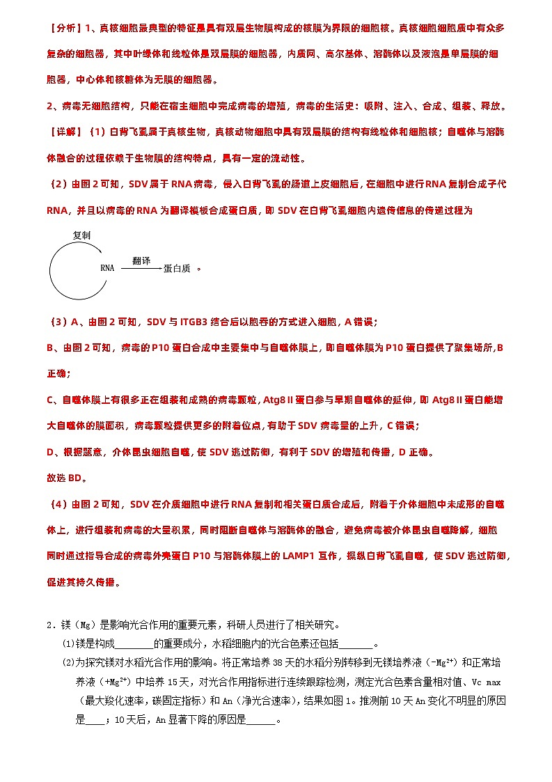 考前第2天 非选择题必刷30题-【考前5天】2024年高考生物高分考前必刷系列(原卷版+解析版)02