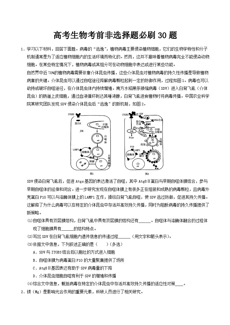 考前第2天 非选择题必刷30题-【考前5天】2024年高考生物高分考前必刷系列(原卷版+解析版)01