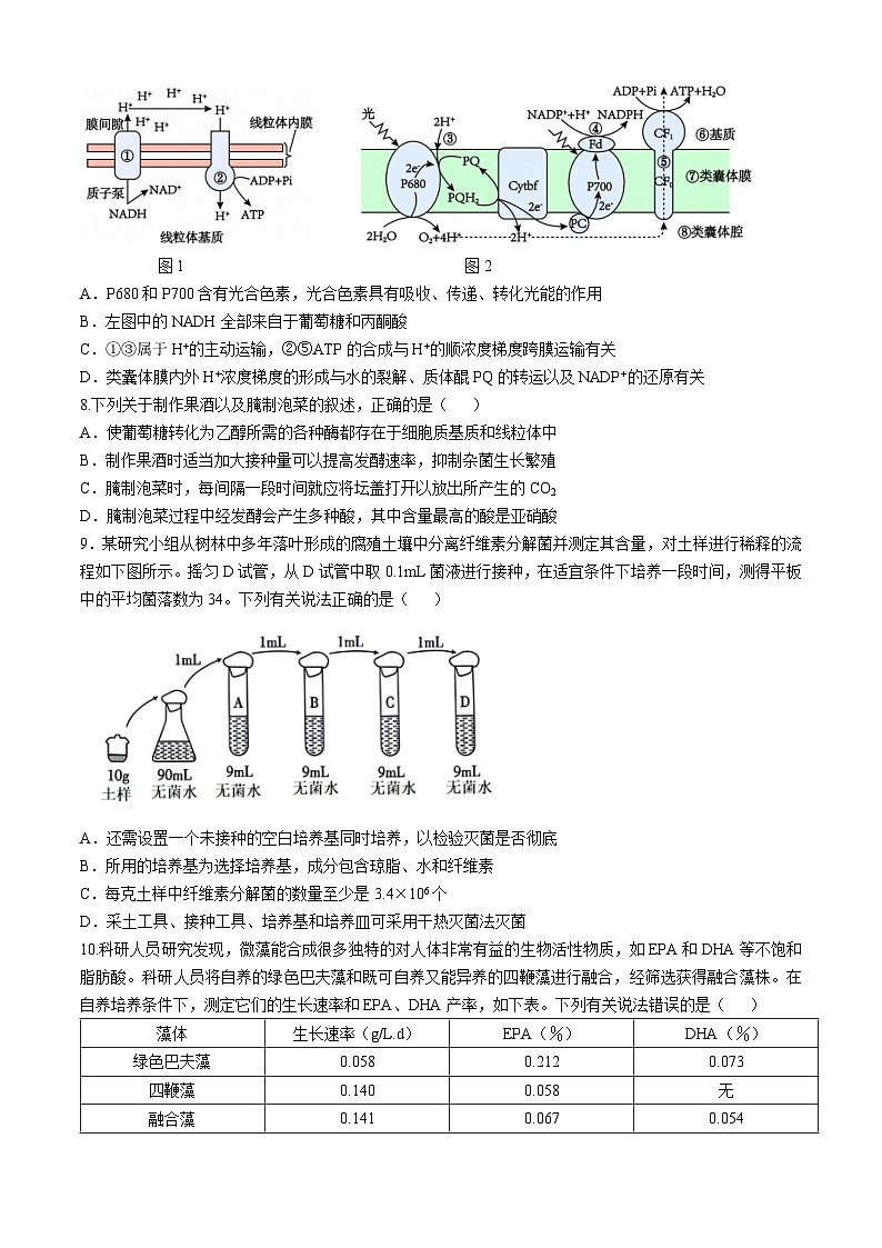 山东省枣庄市第三中学2023—2024学年高二下学期6月月考生物试题及答案第3页