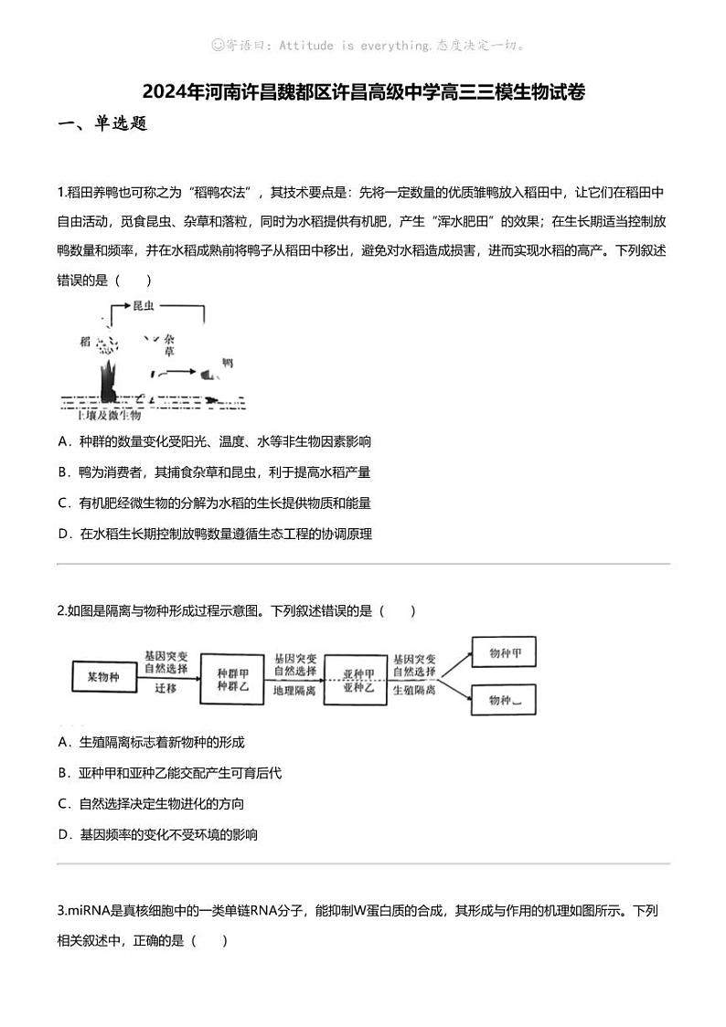 [生物]2024年河南许昌魏都区许昌高级中学高三三模生物试卷01