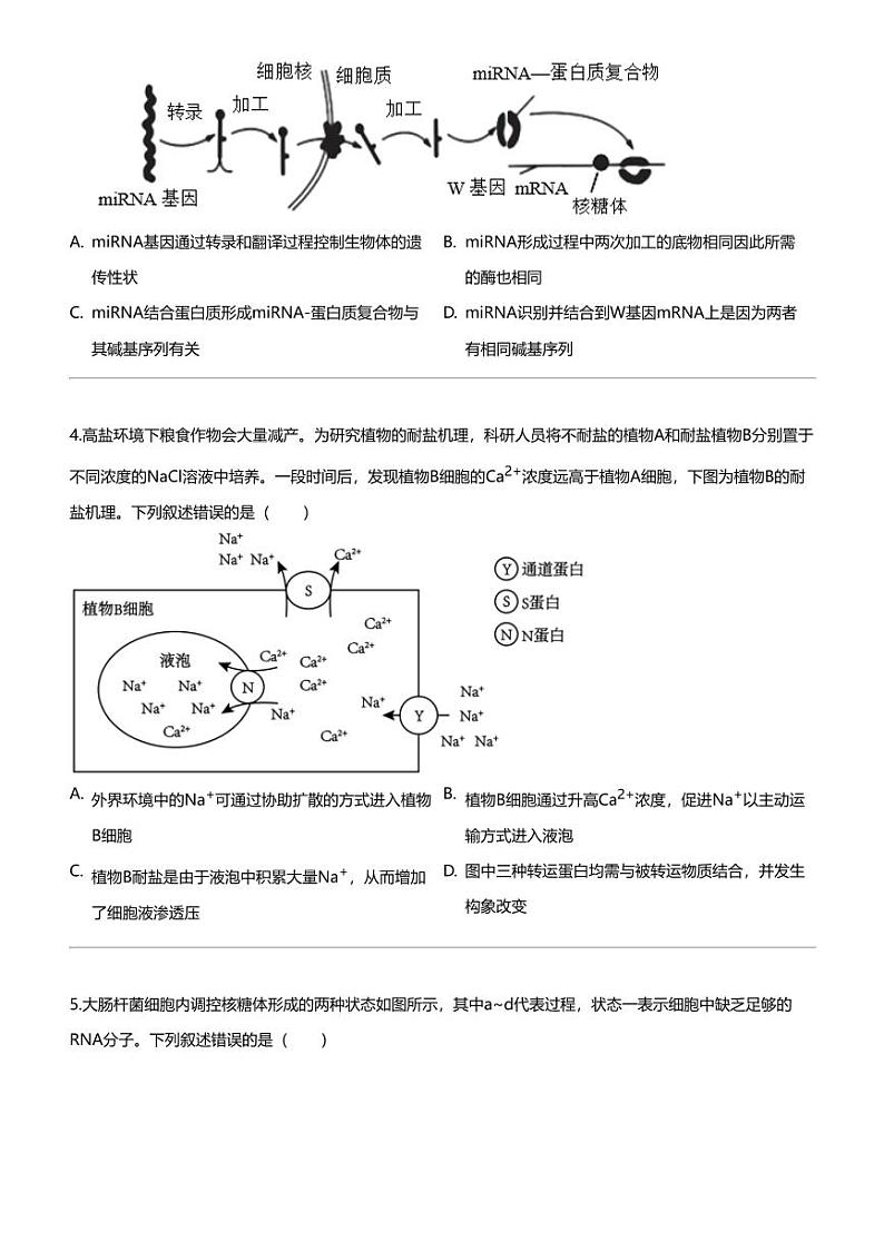 [生物]2024年河南许昌魏都区许昌高级中学高三三模生物试卷02