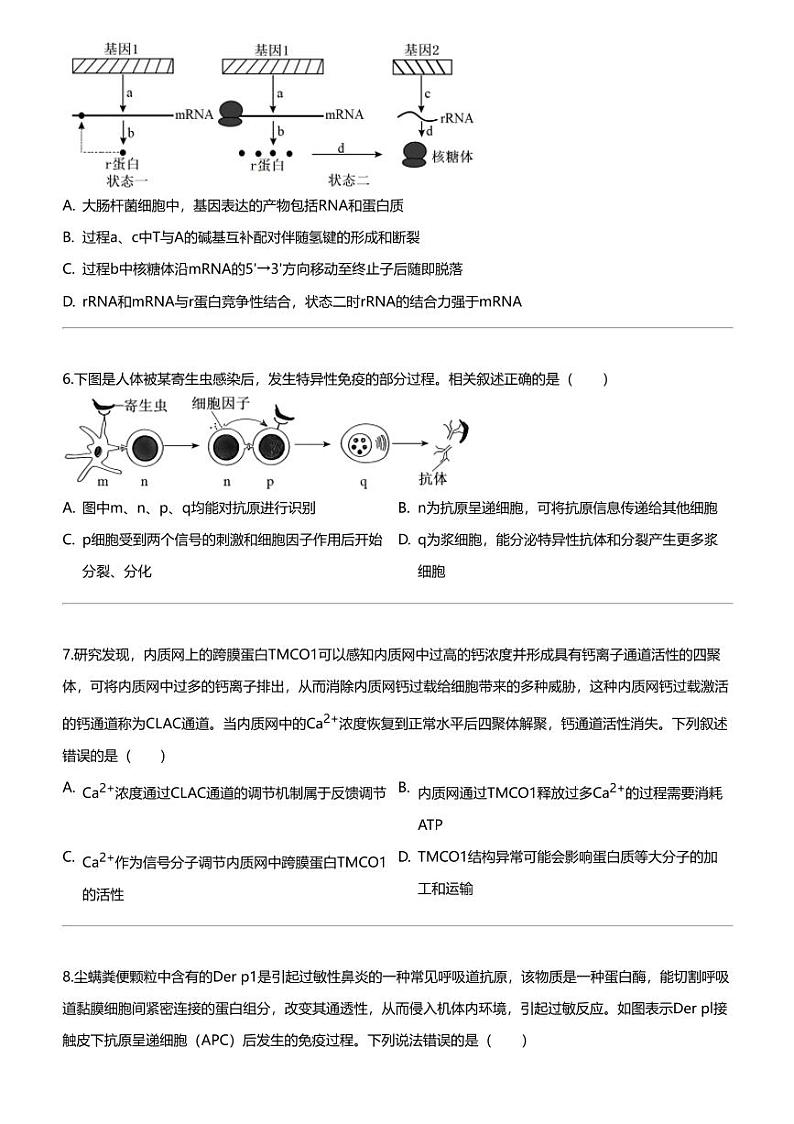 [生物]2024年河南许昌魏都区许昌高级中学高三三模生物试卷03