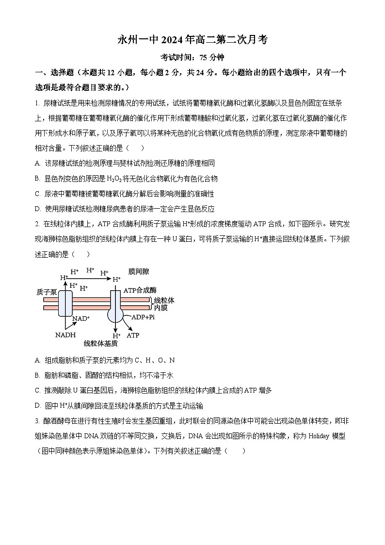 2024永州一中高二下学期6月月考试题生物含解析01