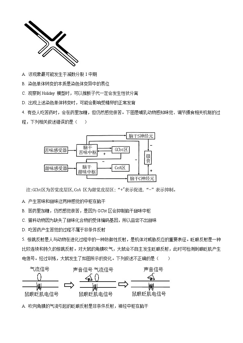 2024永州一中高二下学期6月月考试题生物含解析02