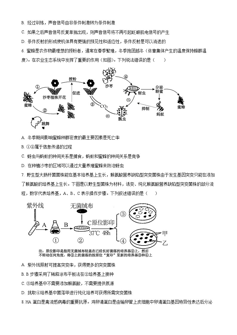 2024永州一中高二下学期6月月考试题生物含解析03