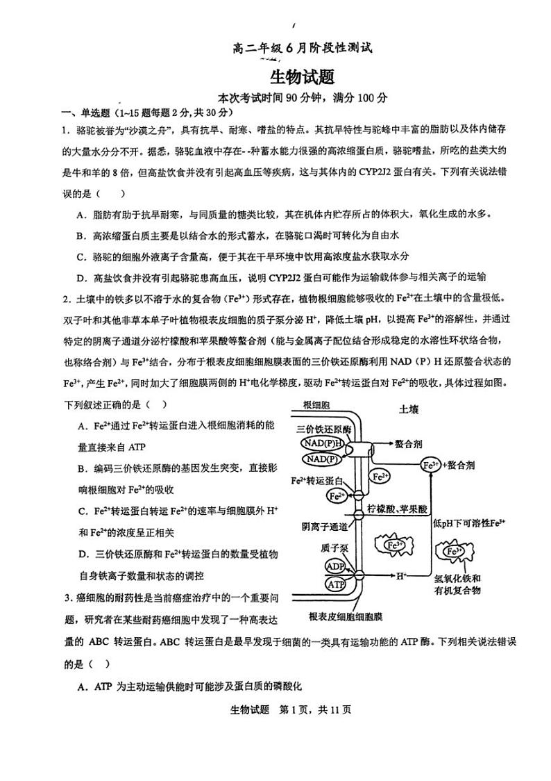 [生物]山东省枣庄市滕州市第一中学2023～2024学年高二下学期6月月考生物试题（无答案）01
