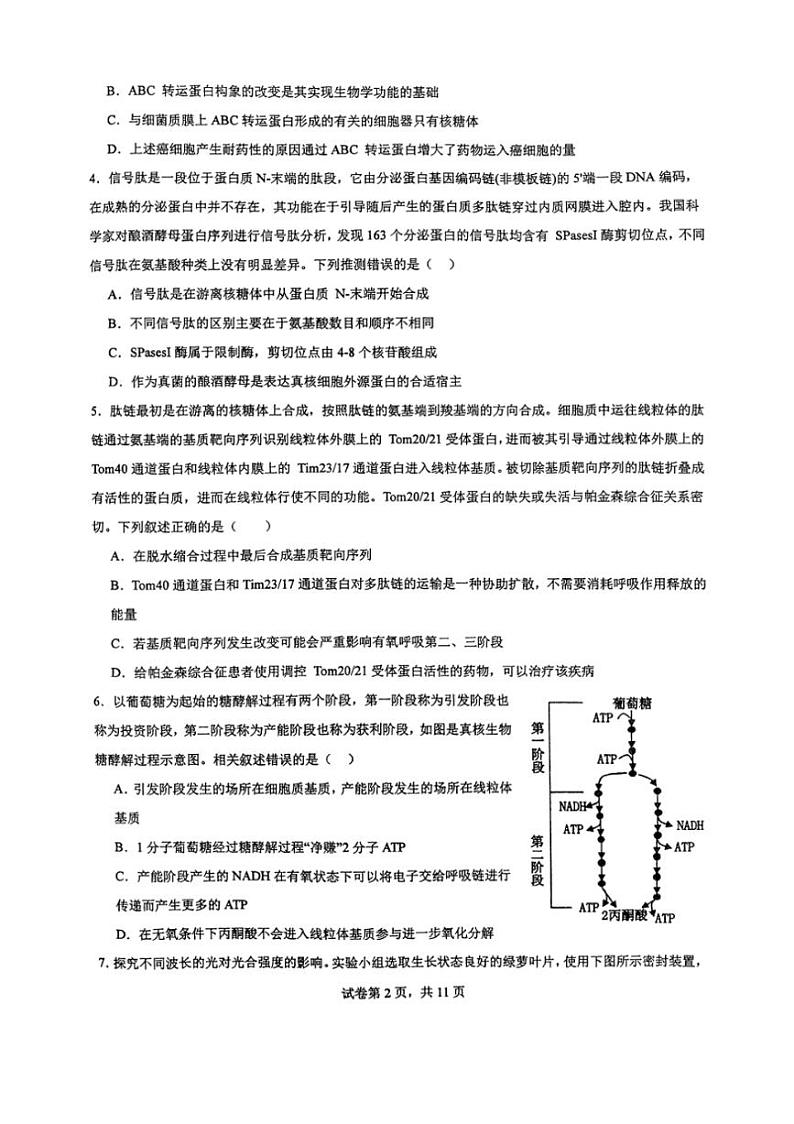 [生物]山东省枣庄市滕州市第一中学2023～2024学年高二下学期6月月考生物试题（无答案）02