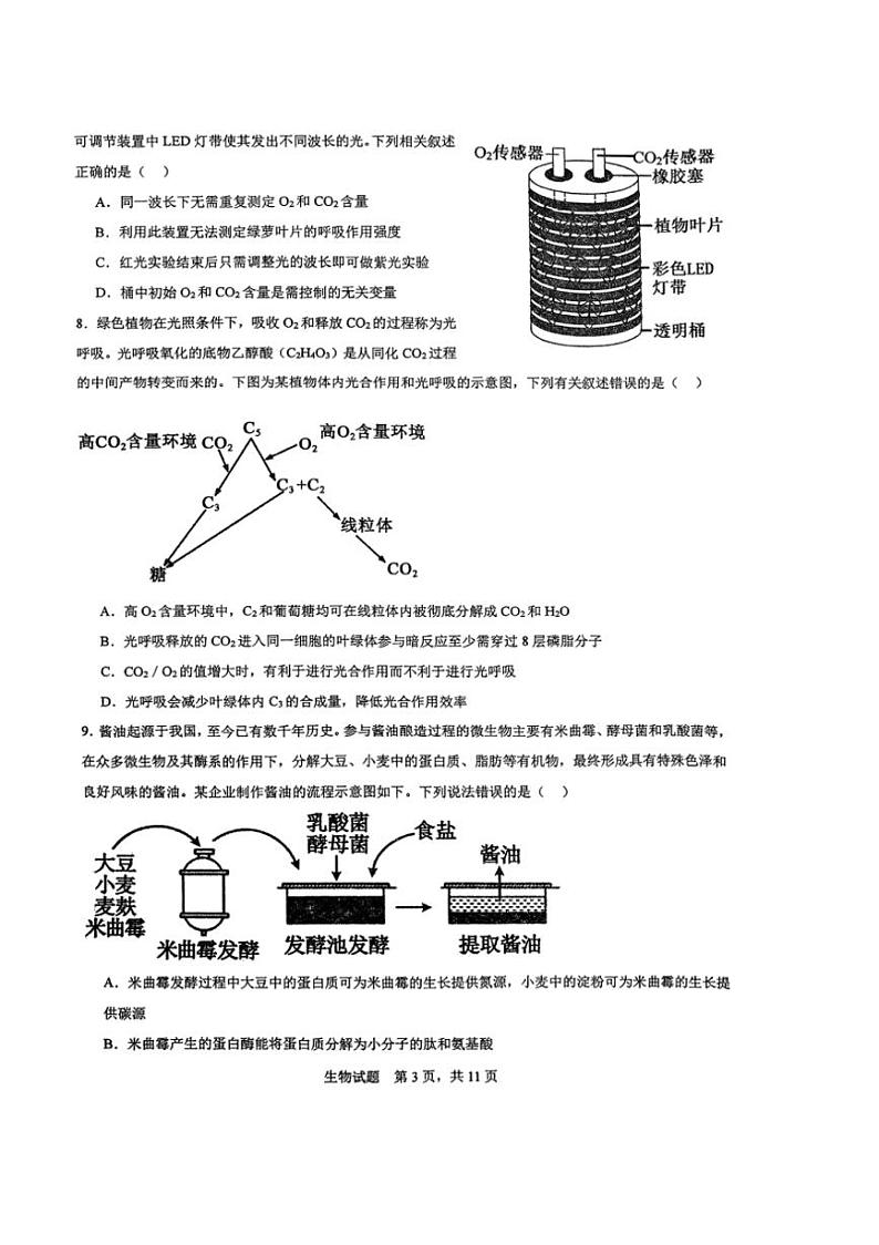 [生物]山东省枣庄市滕州市第一中学2023～2024学年高二下学期6月月考生物试题（无答案）03