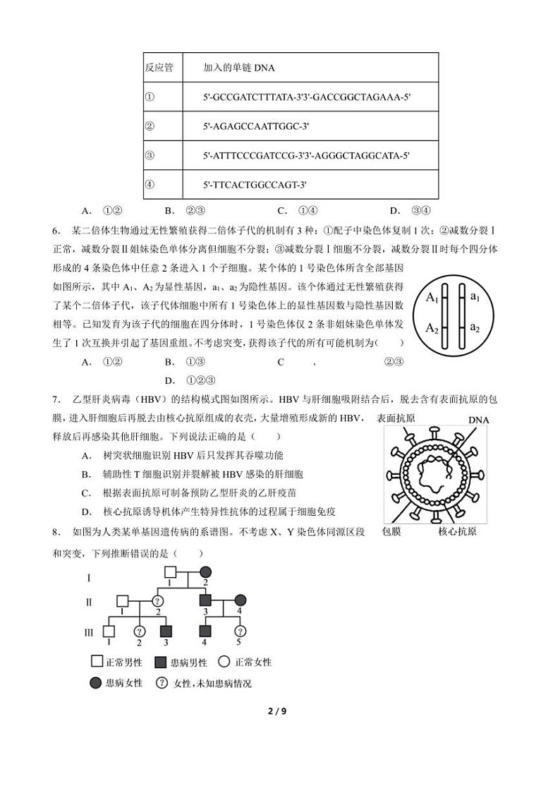 [生物]2024年山东省普通高中学业水平等级考试生物(原卷版)02
