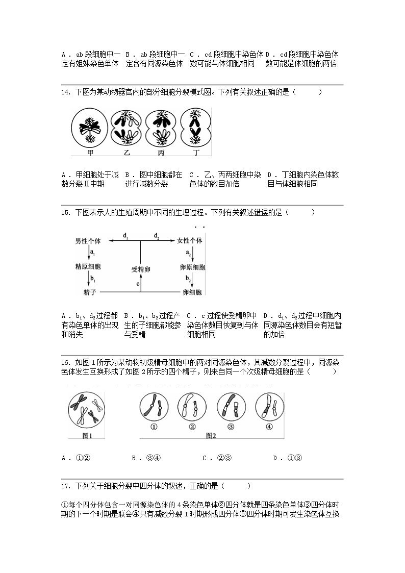 [生物]广东省深圳市名校联考2023-2024学年高一下学期生物学期中考试试卷03