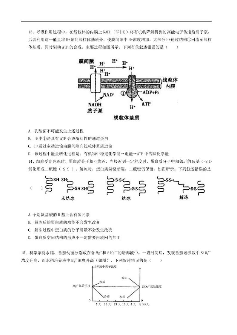 [生物]湖北省鄂州市鄂城区秋林高级中学2022～2023学年高一上学期期末考试生物试卷（有答案）03
