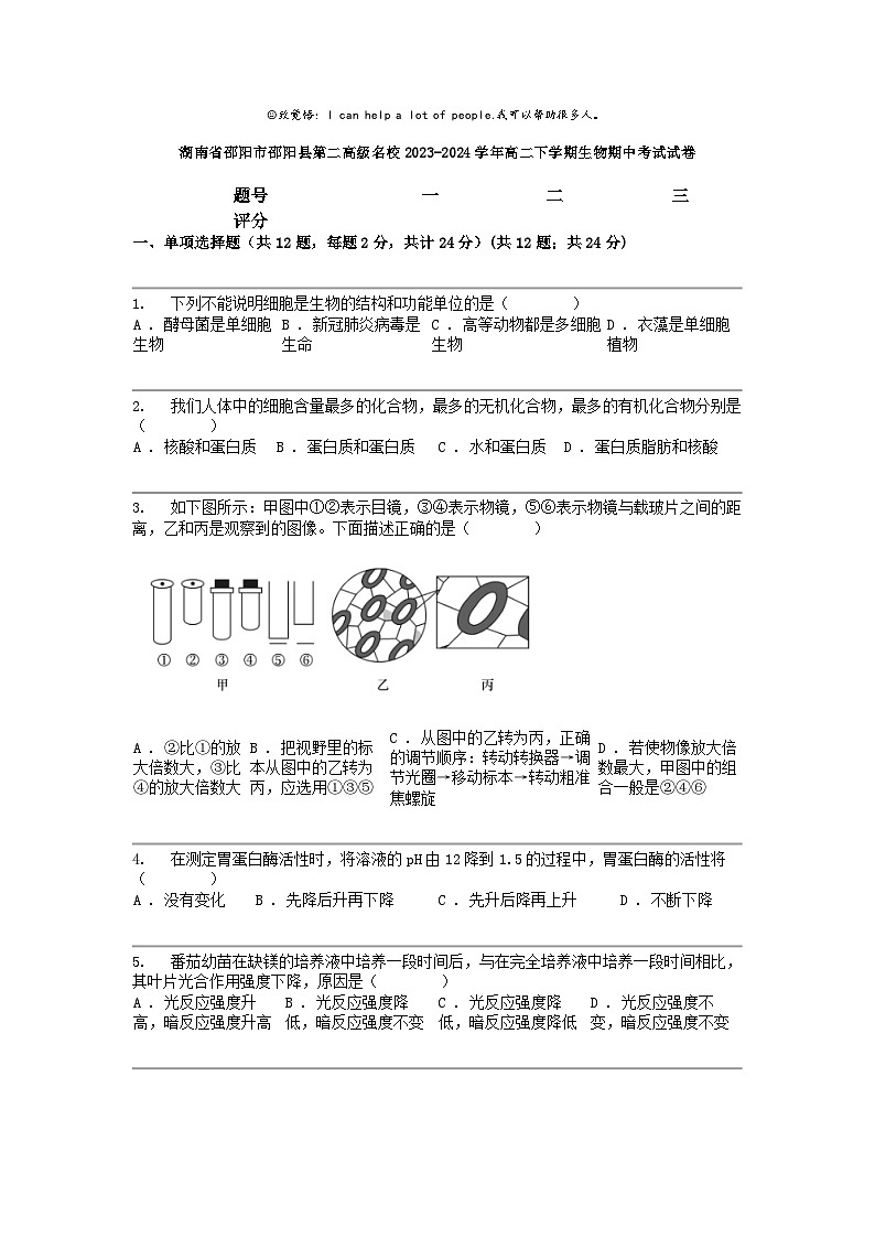 [生物]湖南省邵阳市邵阳县第二高级名校2023-2024学年高二下学期生物期中考试试卷01