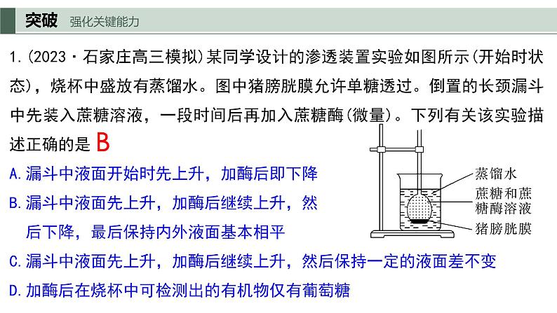 2024届高三生物一轮复习课件：第二单元　第4课时 水进出细胞的原理第6页