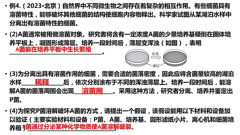 2024届高三生物二轮复习课件生物技术与工程第5页