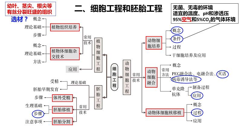 2024届高三生物二轮复习课件生物技术与工程第7页