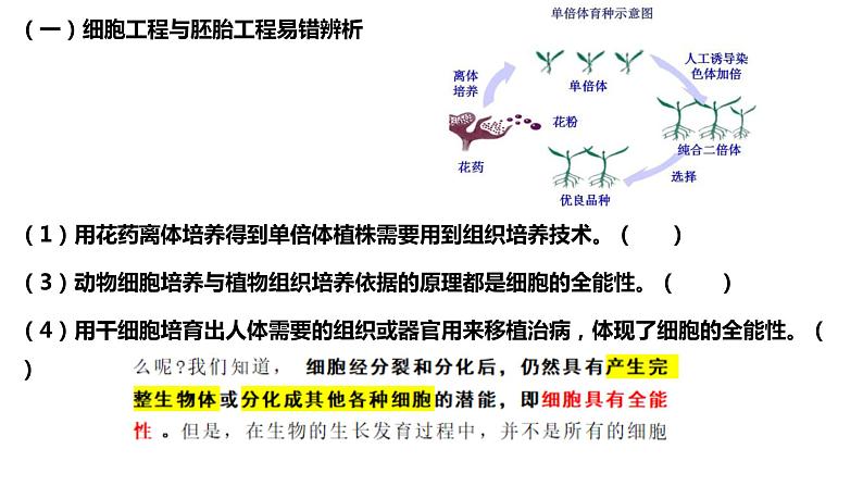 2024届高三生物二轮复习课件生物技术与工程第8页