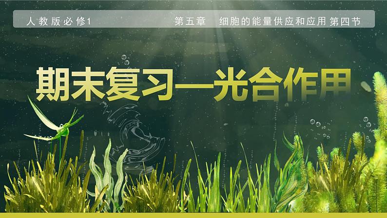 2024届高三生物一轮复习课件 光合作用第1页