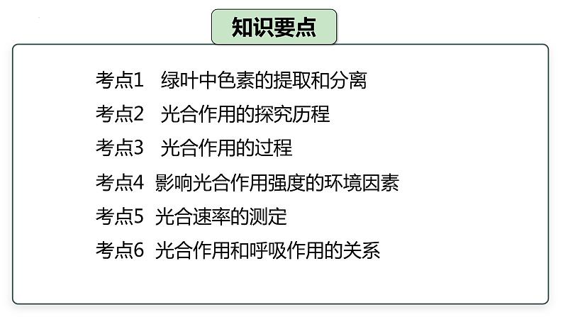 2024届高三生物一轮复习课件 光合作用第2页