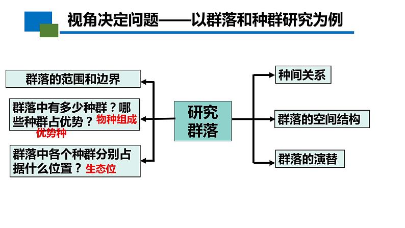 2024届高三生物一轮复习课件2.1群落的结构第4页