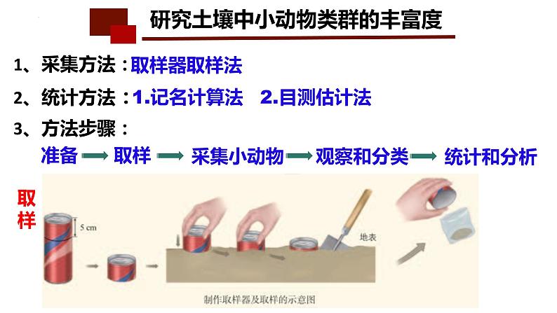 2024届高三生物一轮复习课件2.1群落的结构第6页