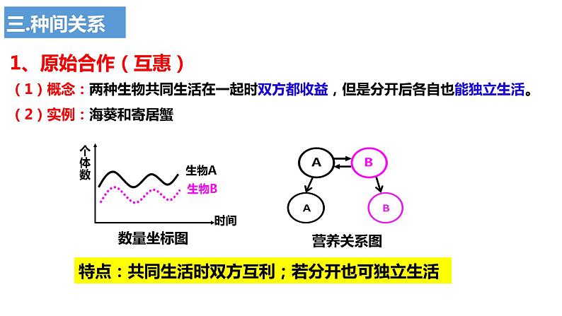 2024届高三生物一轮复习课件2.1群落的结构第8页