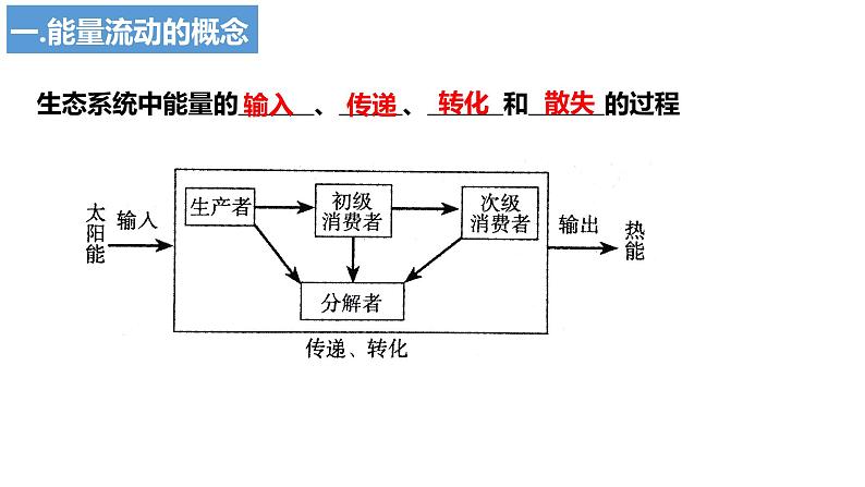 2024届高三生物一轮复习课件3.2生态系统的能量流动第3页