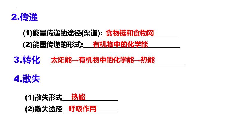 2024届高三生物一轮复习课件3.2生态系统的能量流动第5页