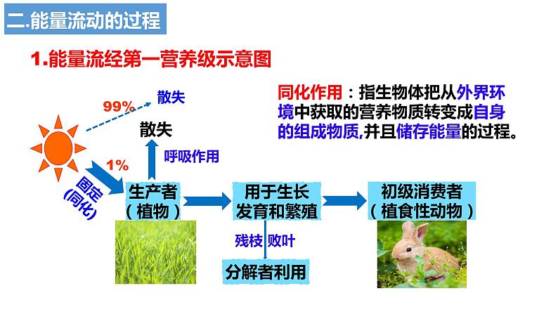 2024届高三生物一轮复习课件3.2生态系统的能量流动第7页