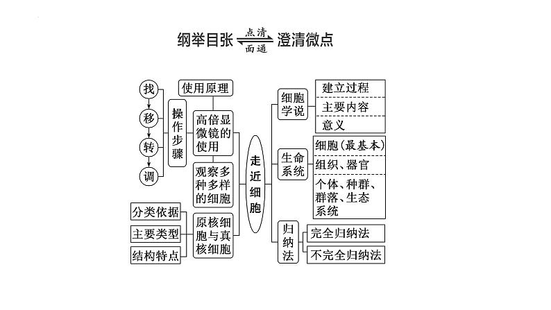 2025届高三生物一轮复习课件（江苏地区）专题复习 ：必修1 第一单元  第1讲  走近细胞第3页